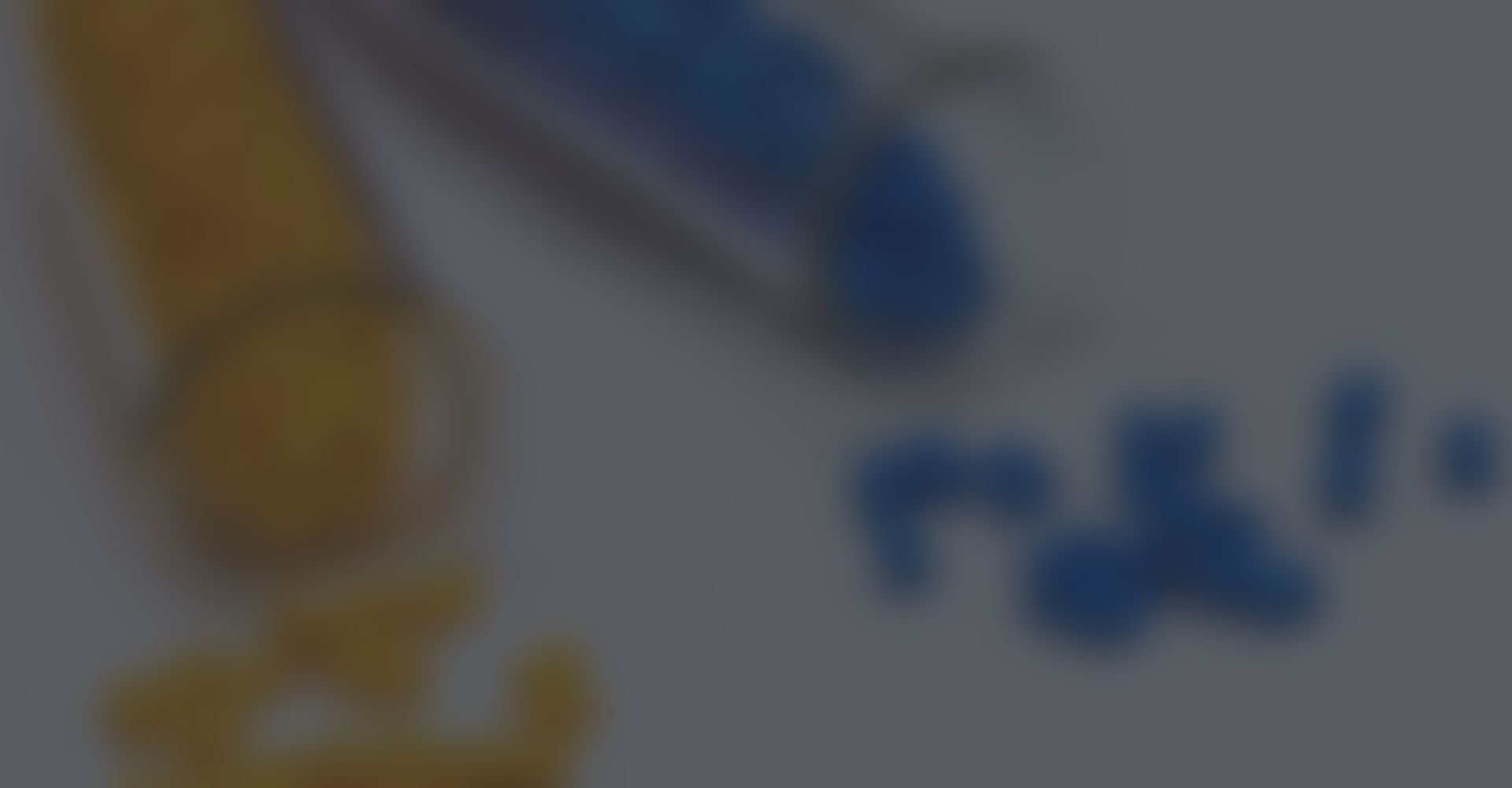 Pharhome Trading Limited <br><br>ChemPure Bangladesh Limited